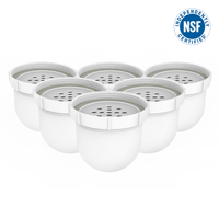 Pitcher Replacement Filter 6-Pack