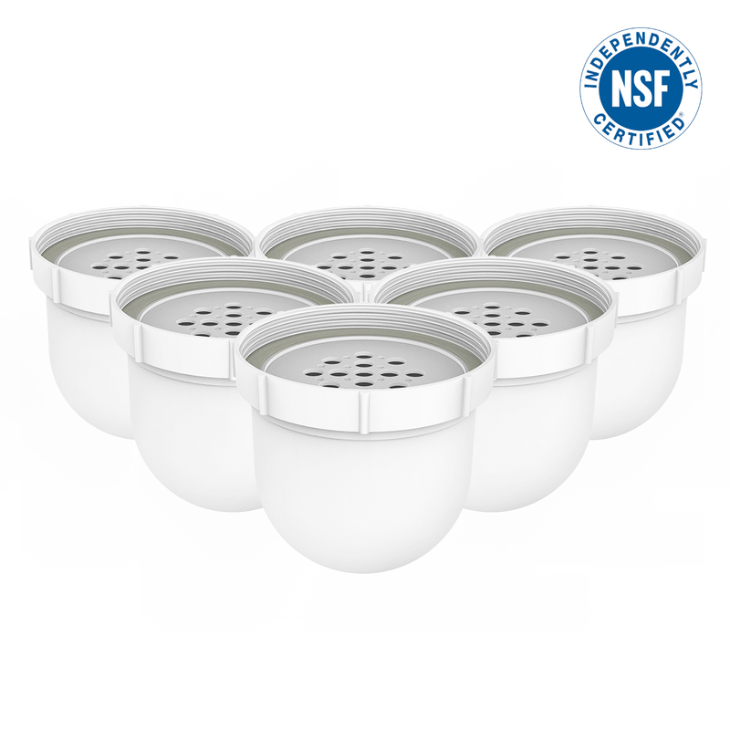 Pitcher Replacement Filter 6-Pack